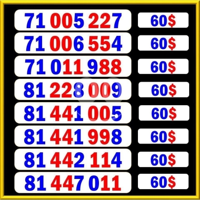 Phone numbers in Saida - رقم مميز و بسعر مميز وسهل الحفظ