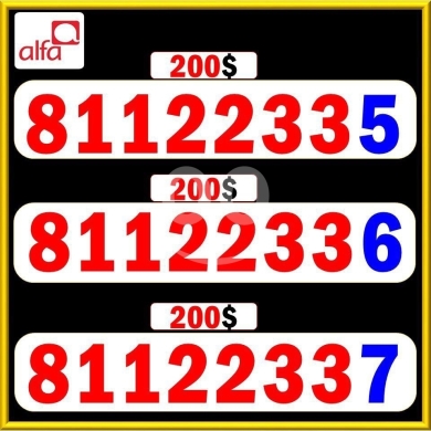 Phone numbers in Saida - أرقام ألفا مميزة وسهلة الحفظ متسلسلة في صيدا | VIP Alfa Sequential Numbers in Saida