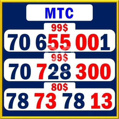 Phone numbers in Saida - أرقام تتش مميزة وسهلة الحفظ للبيع في صيدا | VIP Touch (MTC) Numbers in Saida