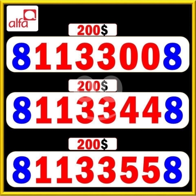 Phone numbers in Saida - أرقام ألفا مميزة وسهلة الحفظ متسلسلة في صيدا | VIP Alfa Sequential Numbers in Saida