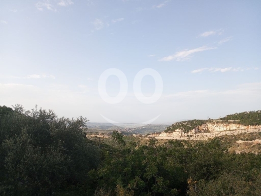 ارض للبيع في حلتا البترون 661م مع زيتون | Land for Sale in Halta Batroun 661m — 4