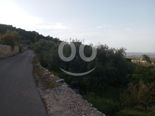 ارض للبيع في حلتا البترون 661م مع زيتون | Land for Sale in Halta Batroun 661m — 6