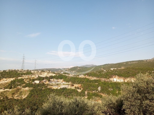 Lands for sale in Batroun - ارض للبيع في حلتا البترون 661م مع زيتون | Land for Sale in Halta Batroun 661m