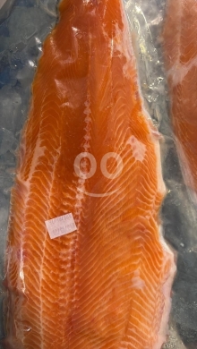 Food & Drink in Al Dahye - تشكيلة أسماك طازجة وثمار بحرية مع خدمة قلي وشوي | Fresh Fish Selection with Frying & Grilling Servic