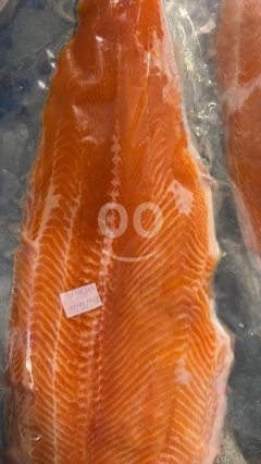 تشكيلة أسماك طازجة وثمار بحرية مع خدمة قلي وشوي | Fresh Fish Selection with Frying & Grilling Servic