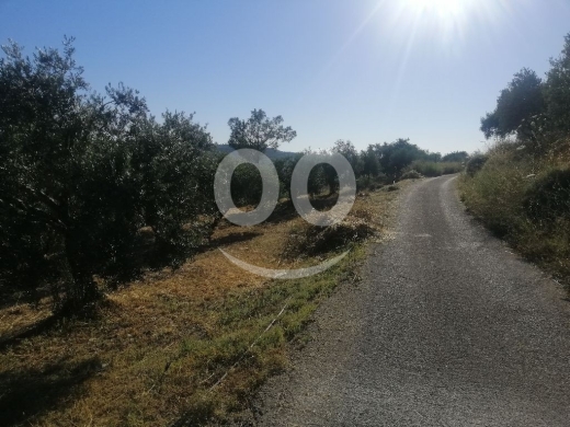 Lands for sale in Joun - أرض مميزة للبيع في جون الشوف مساحة ٢٣٠٠ م | Prime Land for Sale in Joun Chouf 2300 SQM