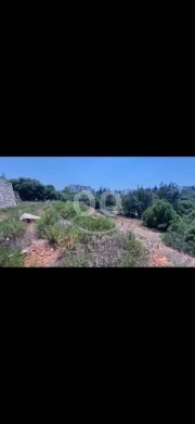 Lands for sale dans Tripoli - أرض مميزة بموقع هادئ وقريب من الخدمات