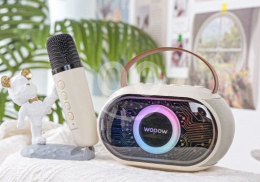 Other electronics in Achrafieh - سبيكر كاريوكي لاسلكي WOOYOW AP08 مع ميكروفون وإضاءة RGB | WOOYOW AP08 Wireless Karaoke Speaker
