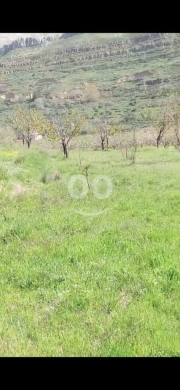 اراضي للبيع في تنورين - أرض للبيع في تنورين الفوقا 3089م بإطلالة مفتوحة | 3089sqm Land for Sale in Tannourine El Faouqa