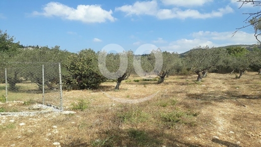 أرض مميزة للبيع في عين كفاع، جبيل ١٢٥٩ م٢ | Land for Sale in Ain Kfaa, Jbeil 1259 Sqm — 2