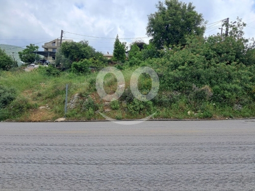 Land for Sale Barij Jbeil Area 770Sqm — 2