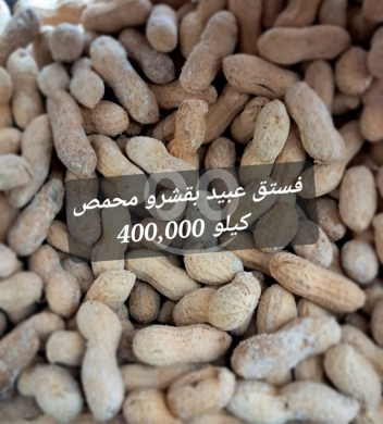 Food & Drink in Sin el-Fil - فستق عبيد بقشره محمص ومملح فاخر كيلو | Premium Roasted In-Shell Salted Peanuts 1kg