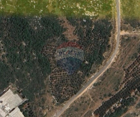 Lands for sale dans Qalamoun - R9-3504 Land for Sale in Qalamoun, Tripoli &ndash; 1381 m&sup2;أرض للبيع في القلمون طرابلس &ndash; 1381 م&sup2;