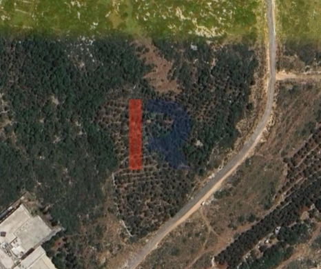 R9-3504 Land for Sale in Qalamoun, Tripoli – 1381 m²