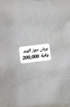 برش جوز الهند ناعم وفاخر لتزيين الحلويات | Premium Shredded Desiccated Coconut