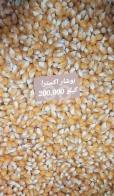 Food & Drink in Sin el-Fil - بوشار اكسترا حبوب ذرة ن those نقية وعالية الجودة | Premium Extra Popcorn Corn Kernels