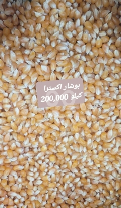 بوشار اكسترا حبوب ذرة ن those نقية وعالية الجودة | Premium Extra Popcorn Corn Kernels