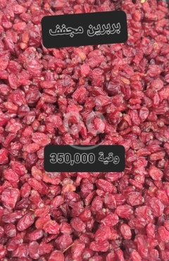 بربرين مجفف فاخر وطبيعي غني بالنكهة والفوائد | Premium Natural Dried Barberries (Zereshk)