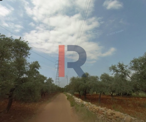 R9-3513 Land for Sale in Al Bqaiaa – 1200 m² — 2