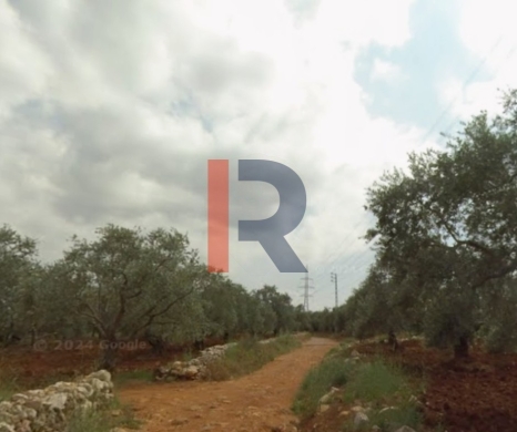 R9-3513 Land for Sale in Al Bqaiaa – 1200 m²