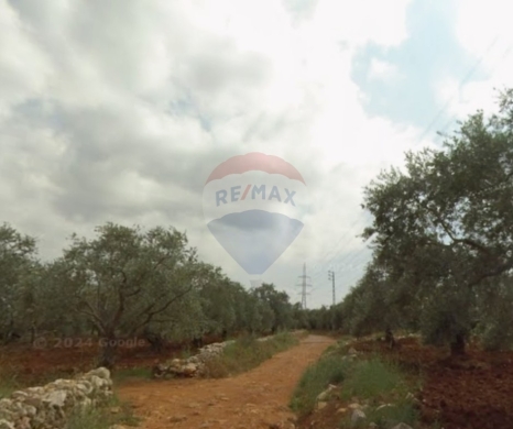 Lands for sale in Kfarkahel - R9-3513 Land for Sale in Al Bqaiaa &ndash; 1200 m&sup2;أرض للبيع في البقيعة &ndash; 1200 م&sup2;