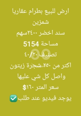 Lands for sale dans Btourram - أرض للبيع في بطرام الكورة منطقة شمزين مع سند أخضر و٢٥٠ شجرة زيتون | Premium Land for Sale in Bterram