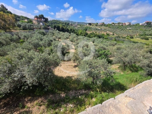 1900 m2 land-open mountain view 4sale in Kfifan-Batroun-BJ05.L.11 — 4