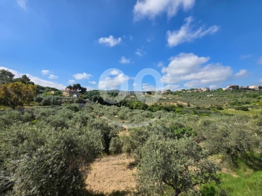 1900 m2 land-open mountain view 4sale in Kfifan-Batroun-BJ05.L.11 — 2