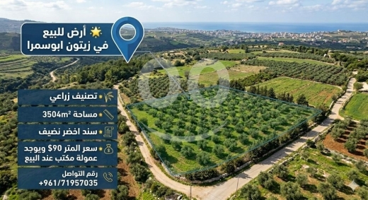 Lands for sale in Abou Samra - أرض زراعية للبيع في زيتون أبي سمراء طرابلس سند أخضر | Agricultural Land for Sale in Abi Samra Tripol