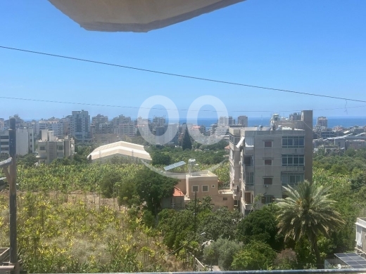 Commercials for sale in Saida - محلات تجارية مميزة للبيع بالتقسيط في صيدا الهلالية على الطريق العام | Commercial Shops for Sale