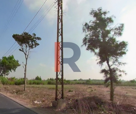 R9-3550 Land for Sale in Akkar – 24,000 m², Near Klaayaat Airport — 5