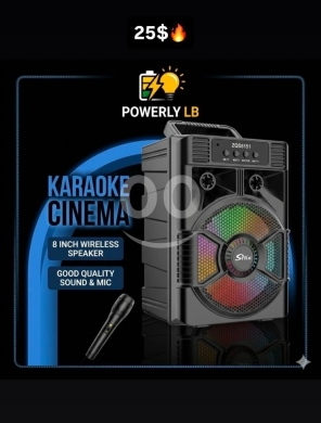 Other electronics dans Mazraa - مكبر صوت لاسلكي كاريوكي سينما 8 إنش مع ميكروفون | 8-Inch Wireless Karaoke Cinema Speaker