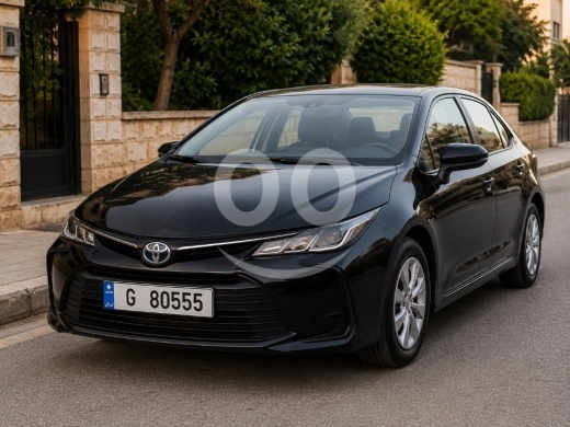 Number plates in Saida - لوحة سيارة مميزة للبيع | Premium Vehicle Number Plate for Sale