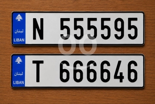 أرقام لوحات في صيدا - لوحتان مميزتان للسيارة للبيع | Two Premium Vehicle Number Plates for Sale