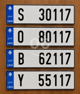 أرقام لوحات في صيدا - مجموعة لوحات سيارة مميزة للبيع | Collection of Premium Vehicle Number Plates for Sale