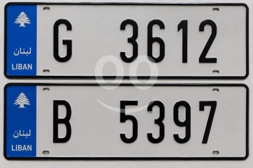 أرقام لوحات في صيدا - لوحتان للسيارة للبيع | Two Vehicle Number Plates for Sale