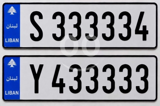 Number plates in Saida - لوحتان مميزتان للسيارة للبيع | Two Premium Vehicle Number Plates for Sale