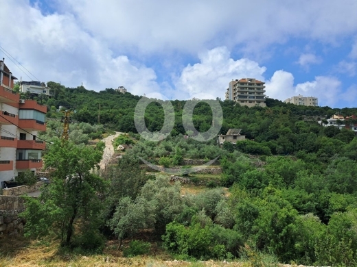 Land for Sale Barij Jbeil Area 1560Sqm — 3