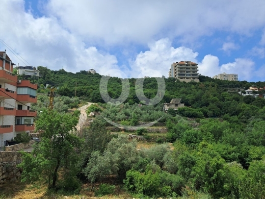 Land for Sale Barij Jbeil Area 1560Sqm — 4