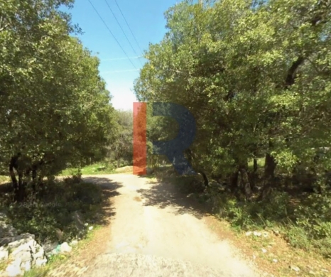 R9-3559 Land for Sale in Btermaz – Danniyeh, 1000 m², Planted with Fruits — 3