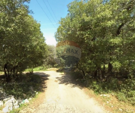 Lands for sale dans Btermaz - R9-3559 Land for Sale in Btermaz &ndash; Danniyeh, 1000 m&sup2;, Planted with Fruitsأرض للبيع في بطرماز الضنية &ndash; 1000 م&sup2;، مزروعة بأشجار مثمرة