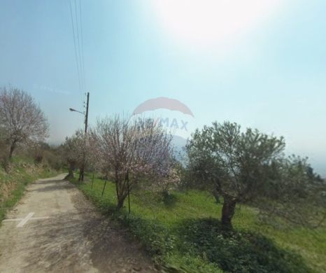 R9-3560 Land for Sale in Alma – Zgharta, 550 m²أرض للبيع في علما زغرتا – 550 م² — 2