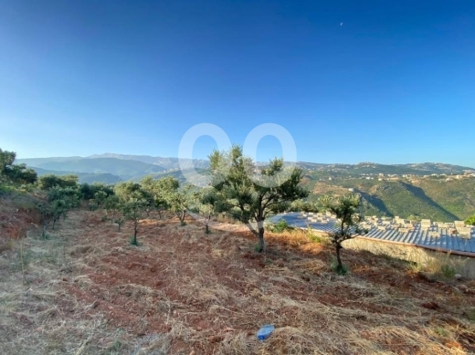 Lands for sale in Beirut City - فرصة مميزة للبيع في جديدة القيطع عكار