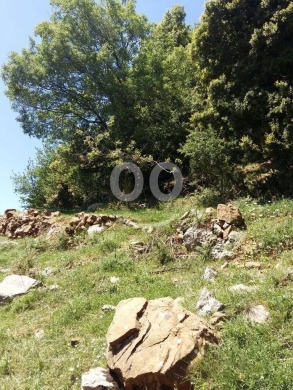 Lands for sale dans Jbeil - أرض للبيع في جاج جبيل مع إطلالة جبلية | 900m Land for Sale in Jaj Jbeil with Mountain Views