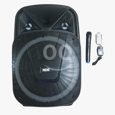 Other electronics in Beirut City - سبيكر محمول للحفلات كاريوكي 15 إنش بلوتوث | 15-Inch Portable Bluetooth Party Speaker