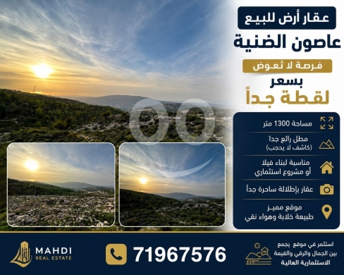 Lands for sale in Assoune - أرض للبيع بسعر لقطة في عاصون الضنية | Bargain Land for Sale in Assoun Al Daniyeh