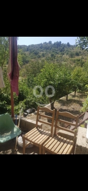 أرض مع منزل للبيع في عين الدلبة وطى الجوز | Land & House for Sale in Ain El Delbeh — 4