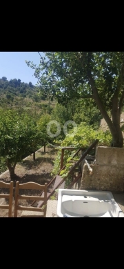 أرض مع منزل للبيع في عين الدلبة وطى الجوز | Land & House for Sale in Ain El Delbeh — 7