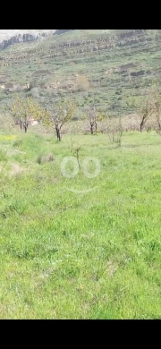 Lands for sale in Tannourine - أرض استثمارية مميزة للبيع في تنورين الفوقا 3089 مم | Investment Land for Sale in Tannourine El Fawqa