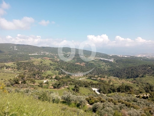 اراضي للبيع في جزين - أرض للبيع في عرمتى مساحة 11175م بسعر مميز | Land for Sale in Aramta 11175m